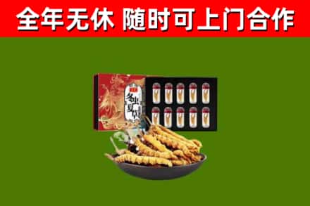 宁江回收冬虫夏草价格